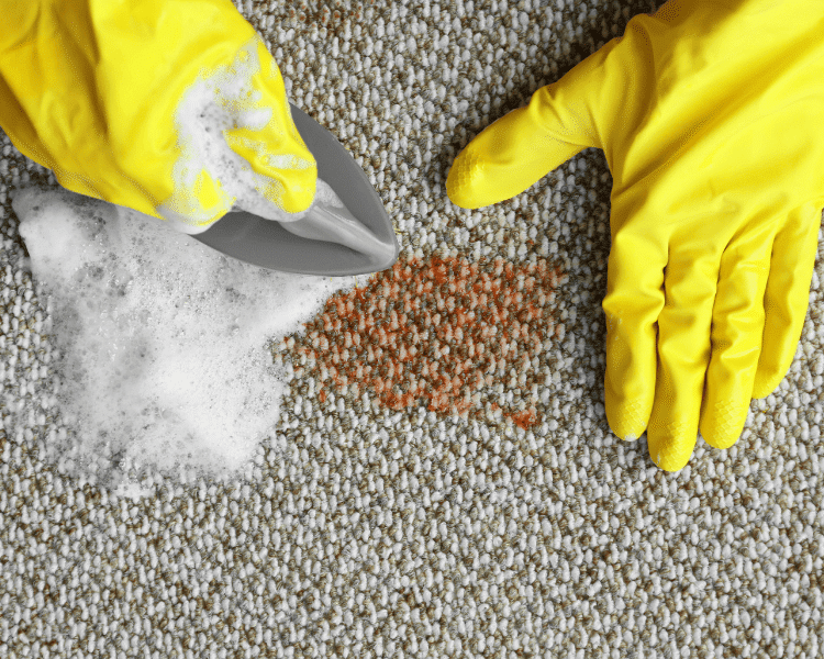 Person wearing yellow gloves scrubbing a carpet stain with foam and a scraper as part of emergency cleaning services.
